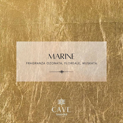 CAVE - MARINE 