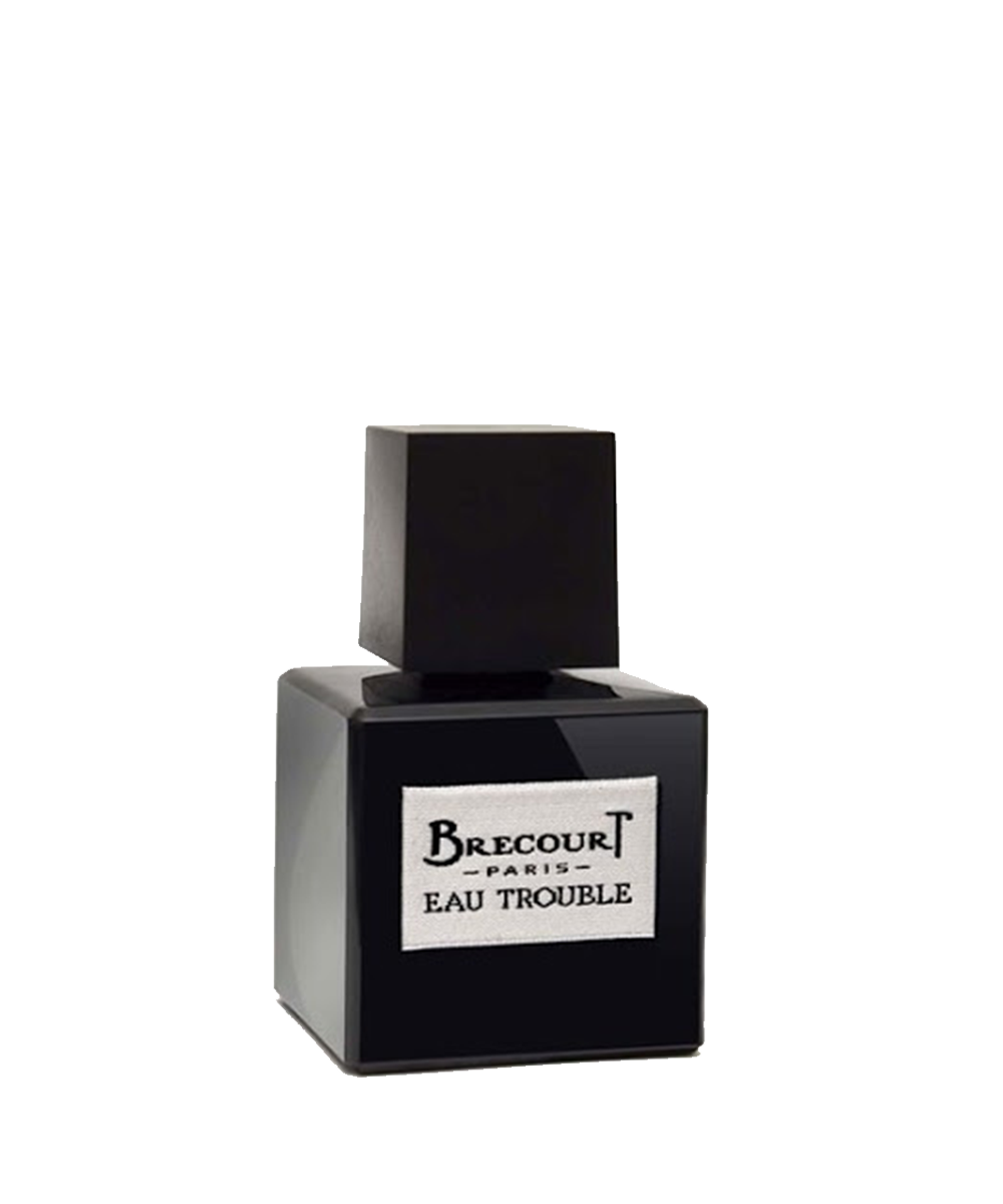 PROFUMO BRECOURT PARIS EAU TROUBLE 100ML